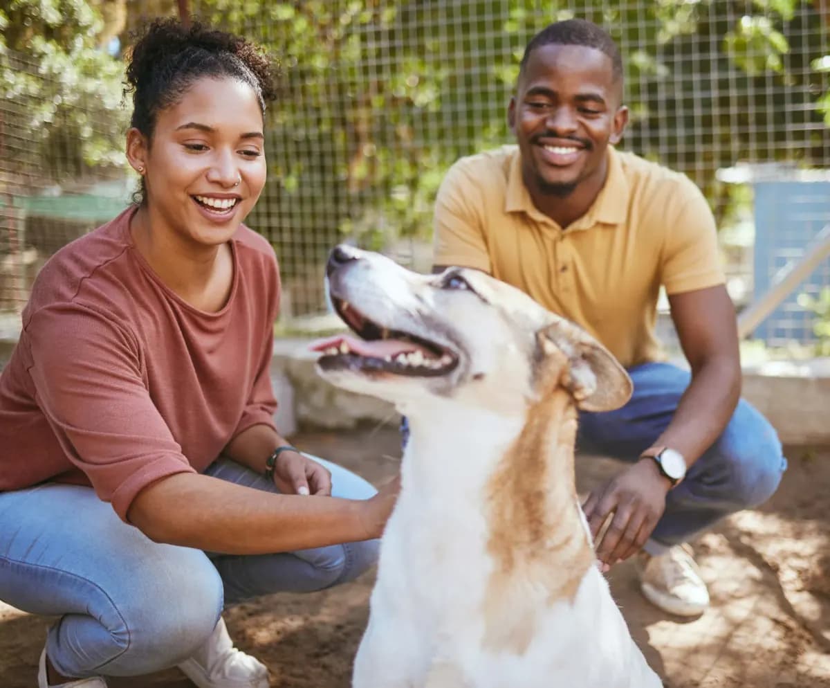 Deux personnes avec leur chien soigné