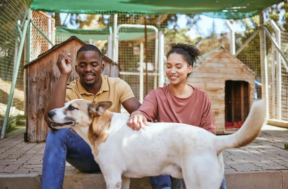 Couple serein avec son chien guéri