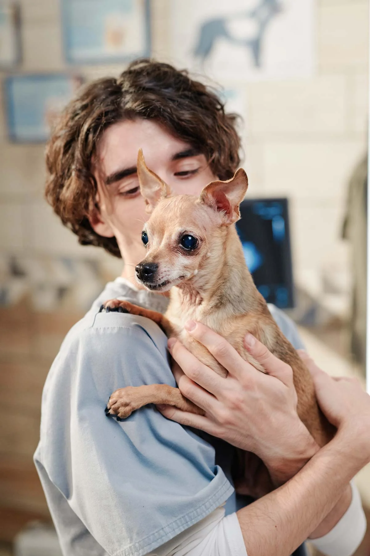 Jacques, guérisseur magnétiseur pour animaux